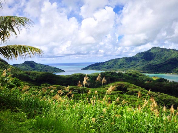 Tahaa 